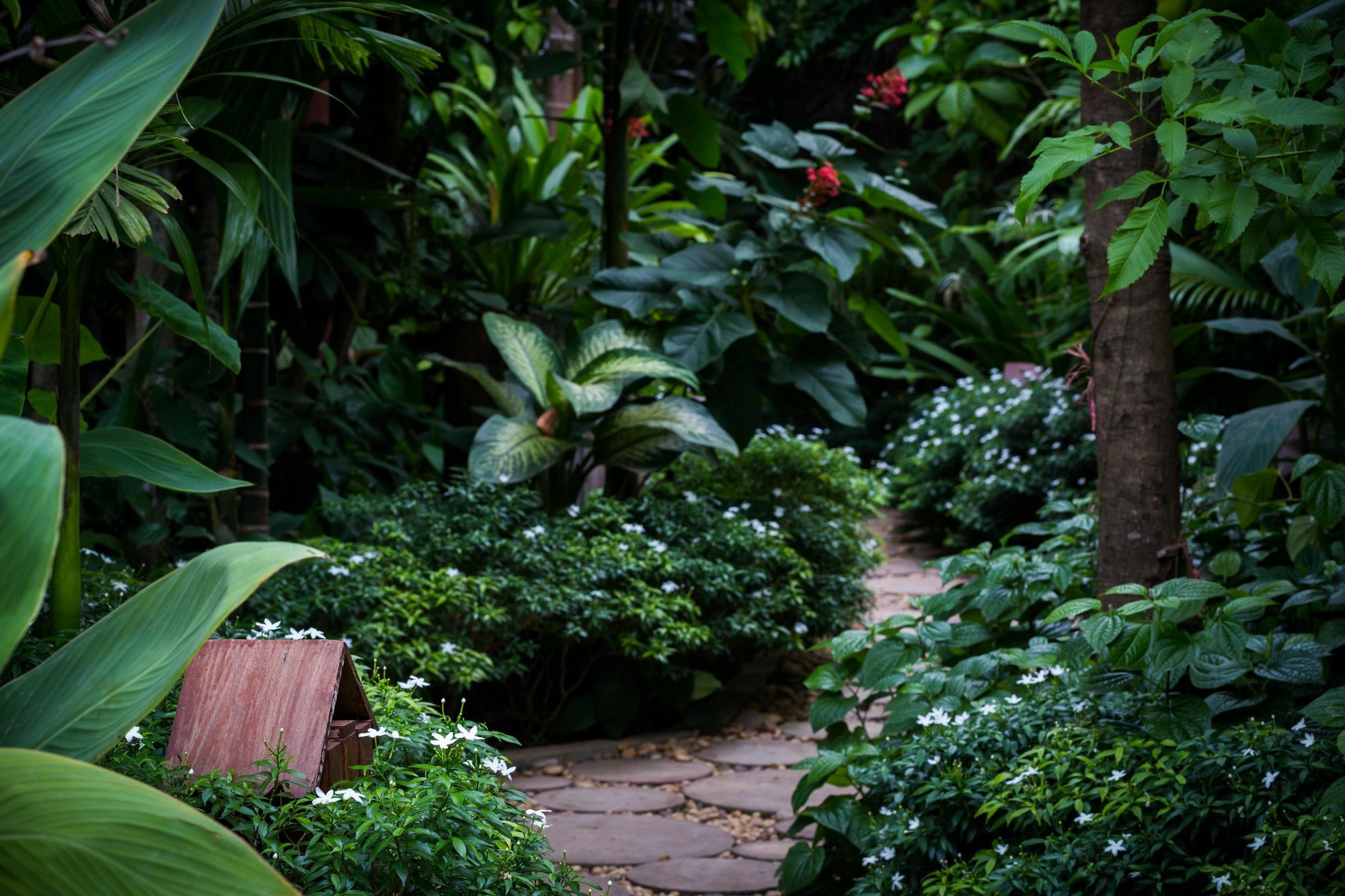 Malu Khmer Villa Siem Reap Zewnętrze zdjęcie